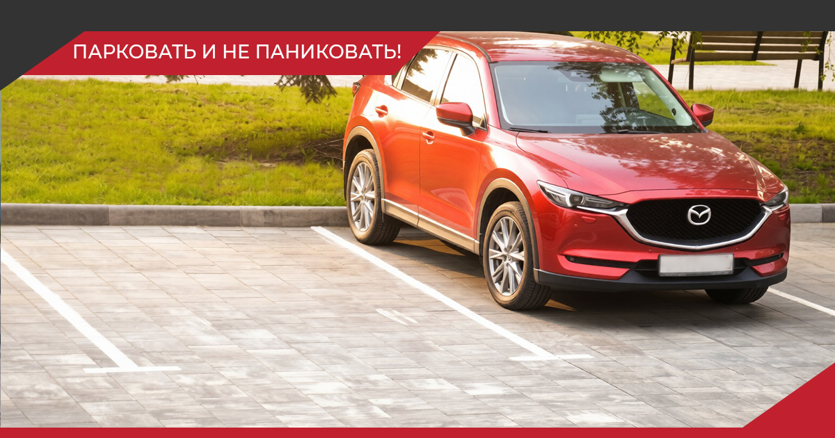 Тротуарная плитка для парковки: как выбрать так, чтобы покрытие служило годами