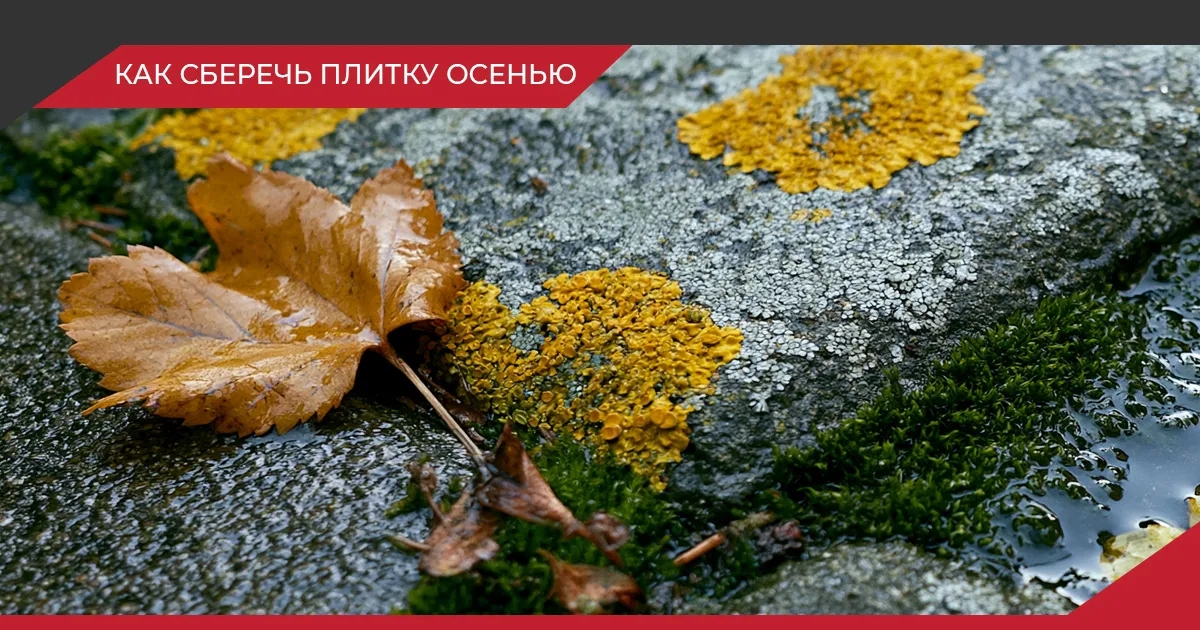 Уход за тротуарной плиткой осенью: 8 шагов до весны
